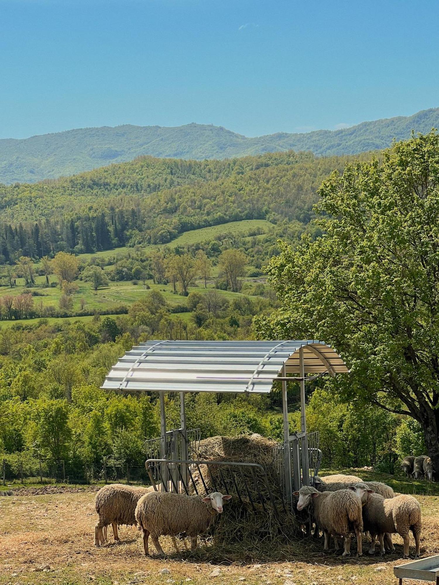 Fattoria Del Borgo In Sabina Villa Rieti Exterior foto