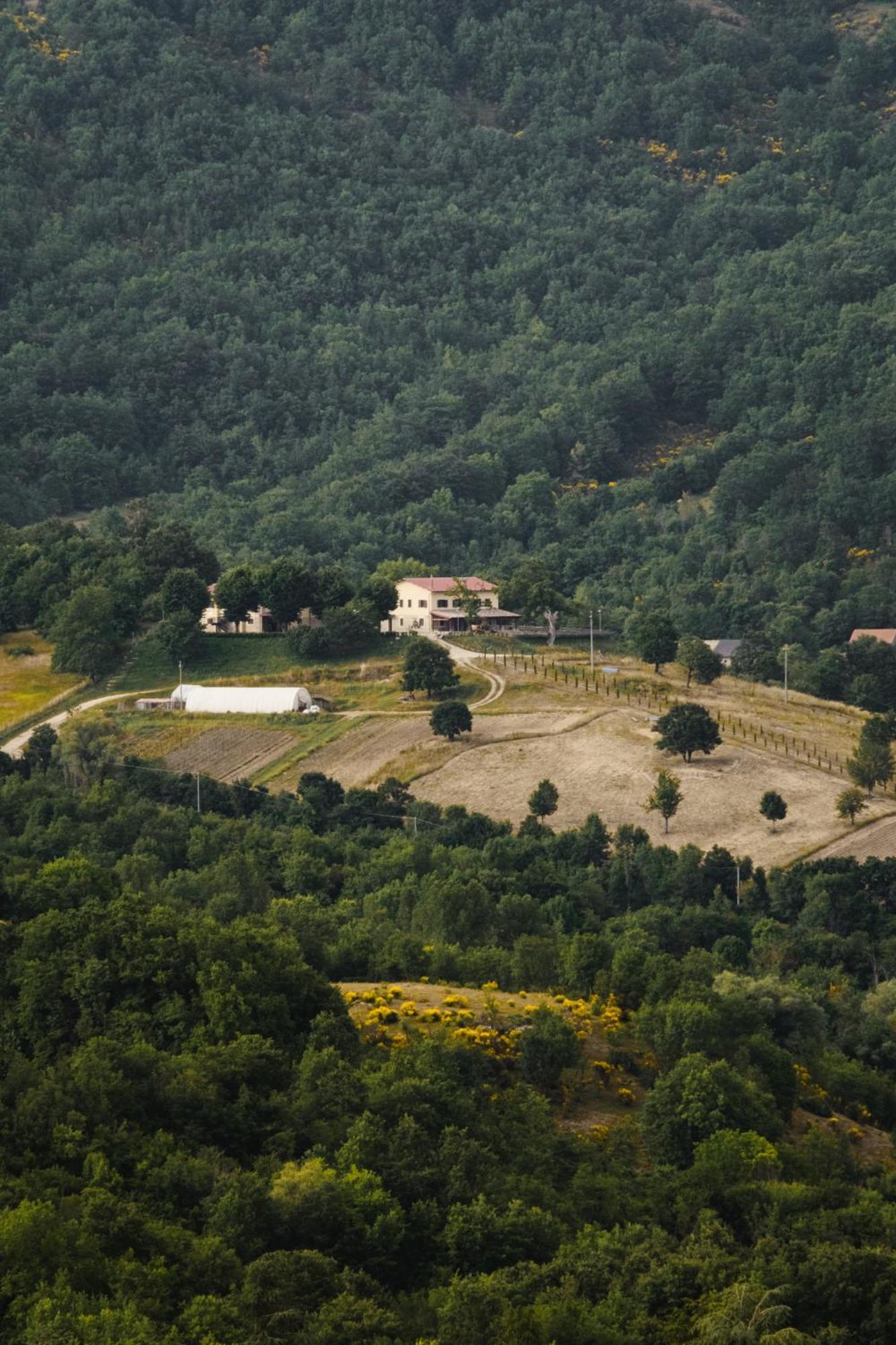 Fattoria Del Borgo In Sabina Villa Rieti Exterior foto